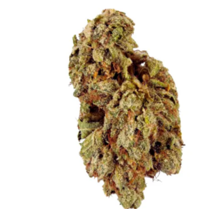 DO si Dos Strain THCA Flower (Indoor)