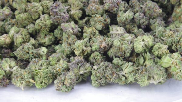 Smalls THCA Gelato | Cheap Indoor Ounces