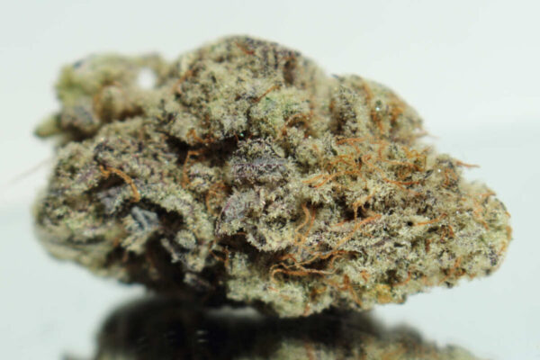 Lemon Cherry Gelato Strain THCA